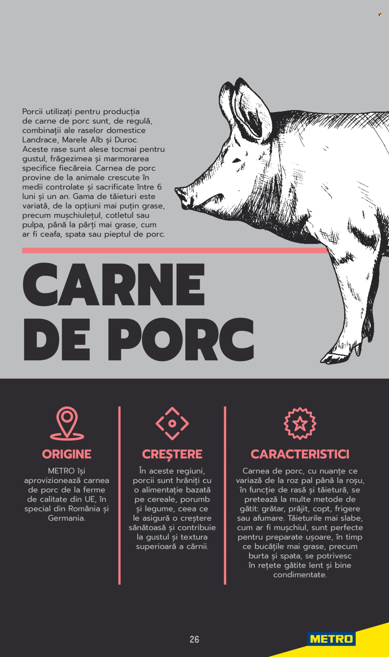 Catalog Metro. Pagina 26