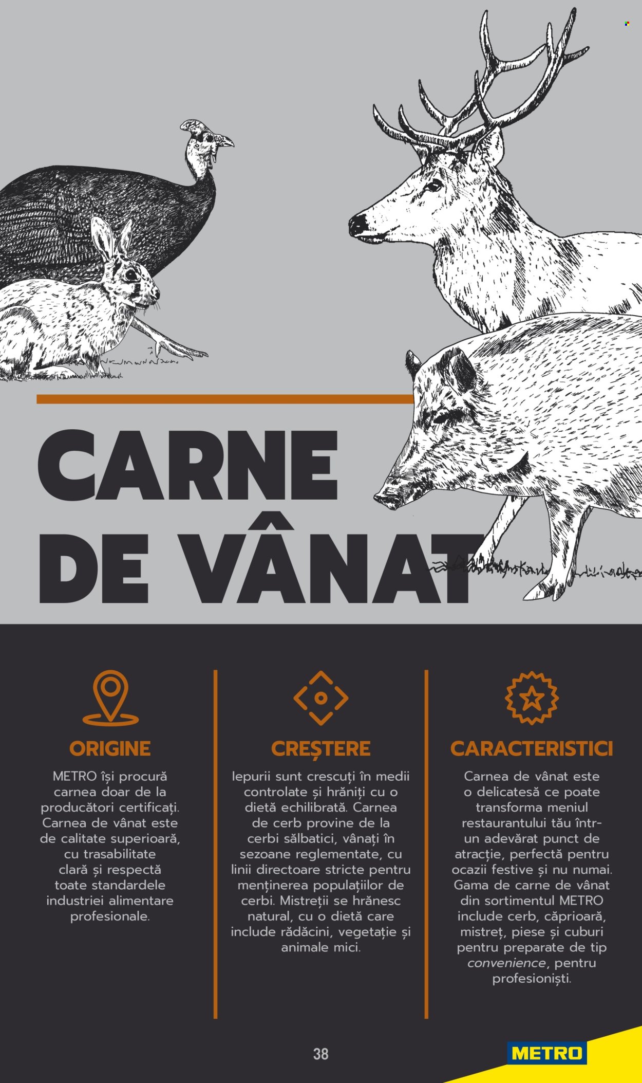 Catalog Metro. Pagina 38