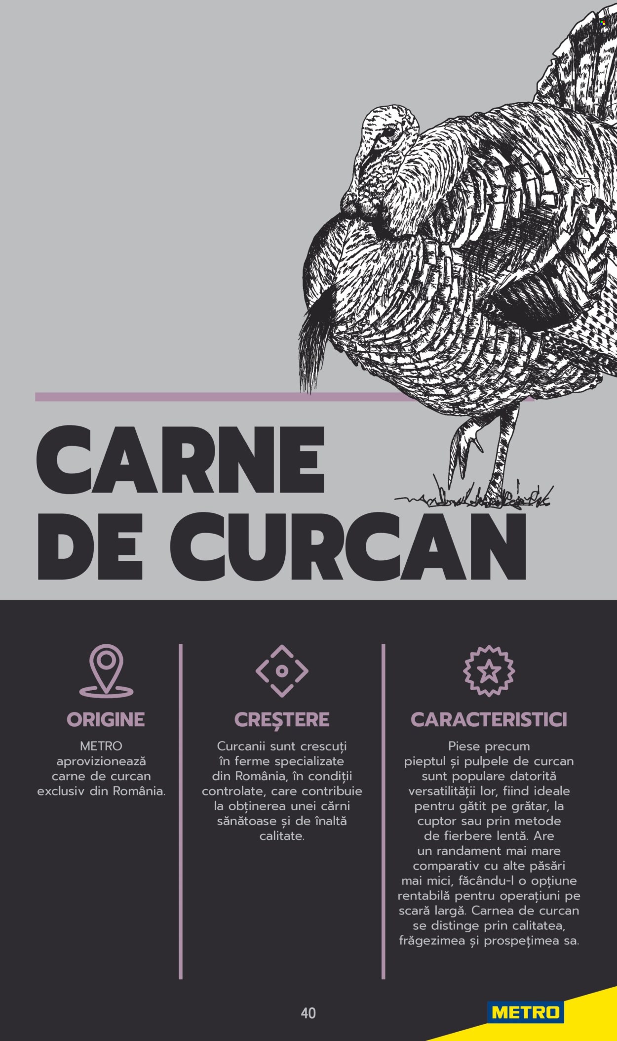 Catalog Metro. Pagina 40
