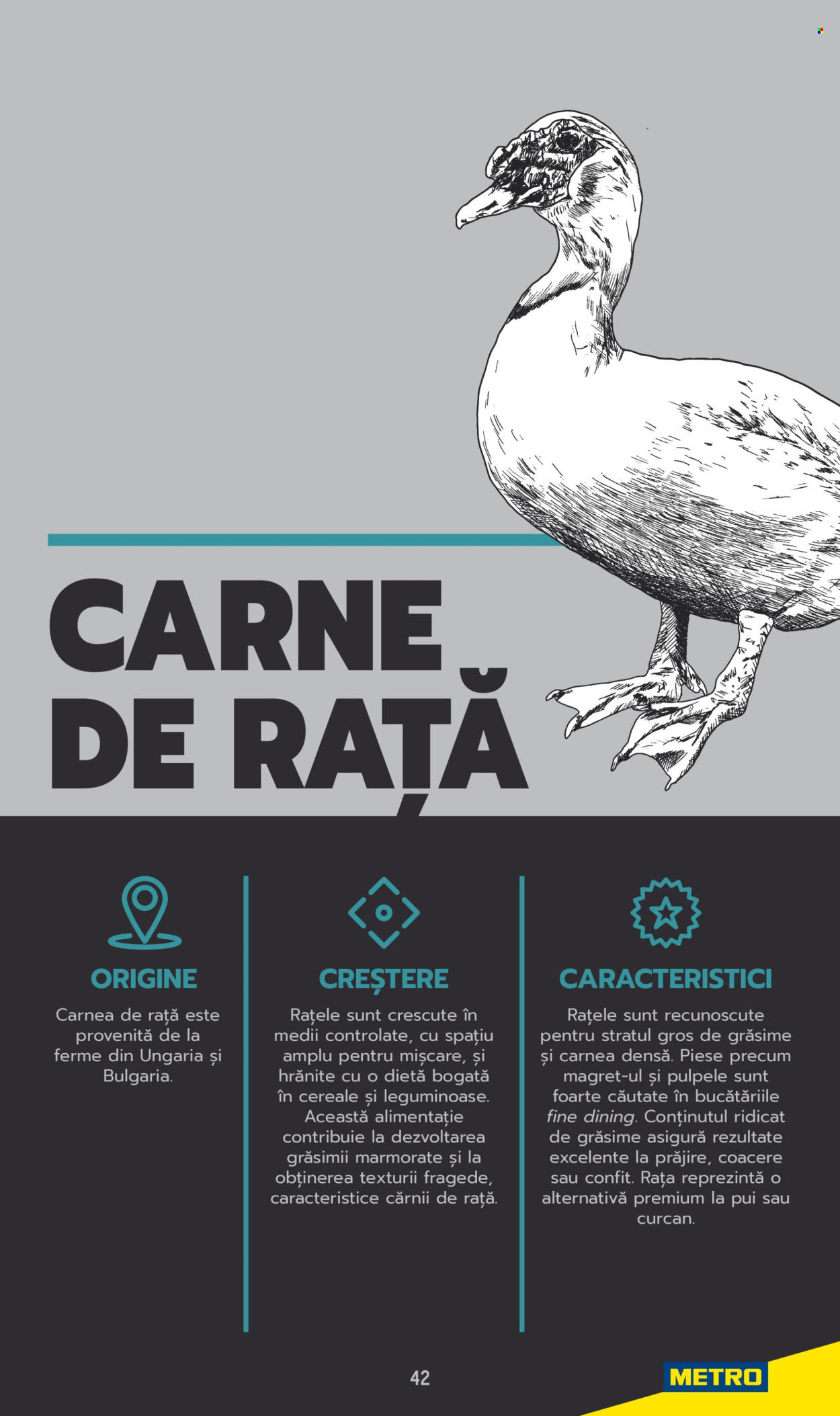 Catalog Metro. Pagina 42