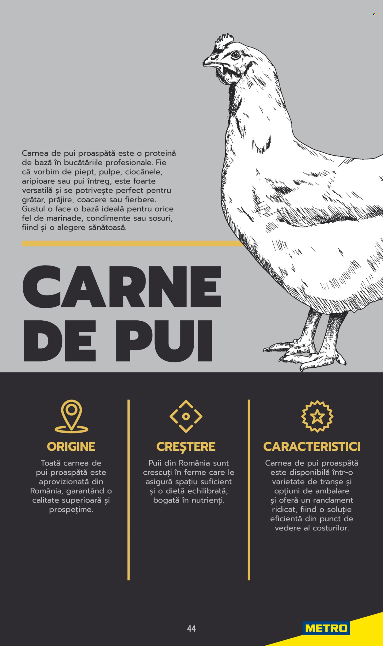 Catalog Metro. Pagina 44