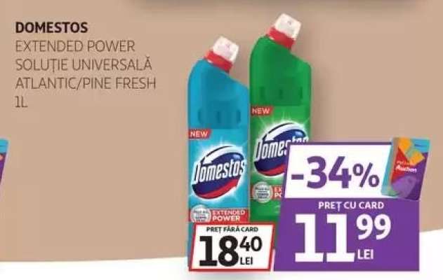 Domestos Extended Power