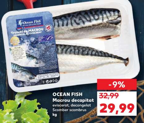 OCEAN FISH Macrou decapitat