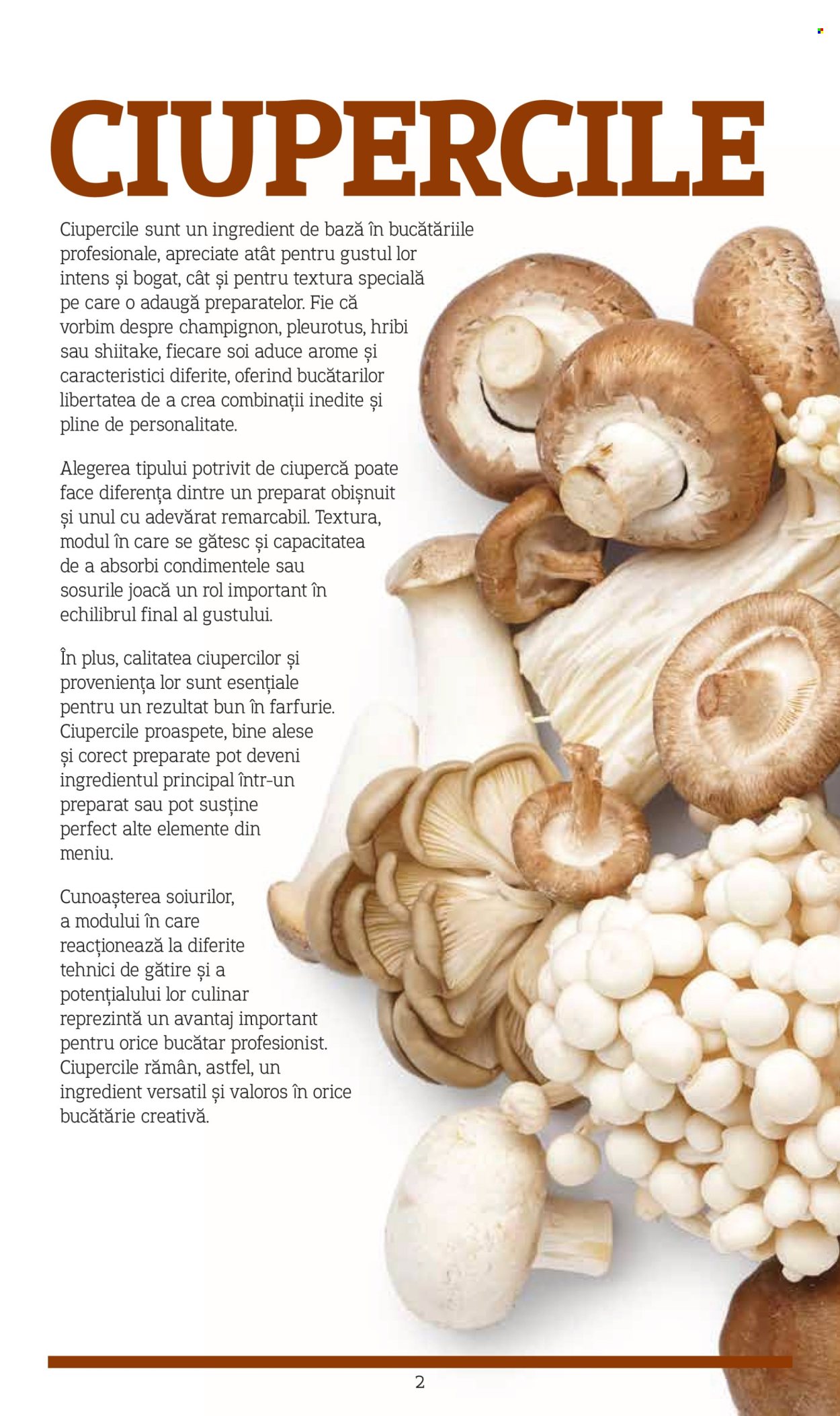 Catalog Metro. Pagina 2