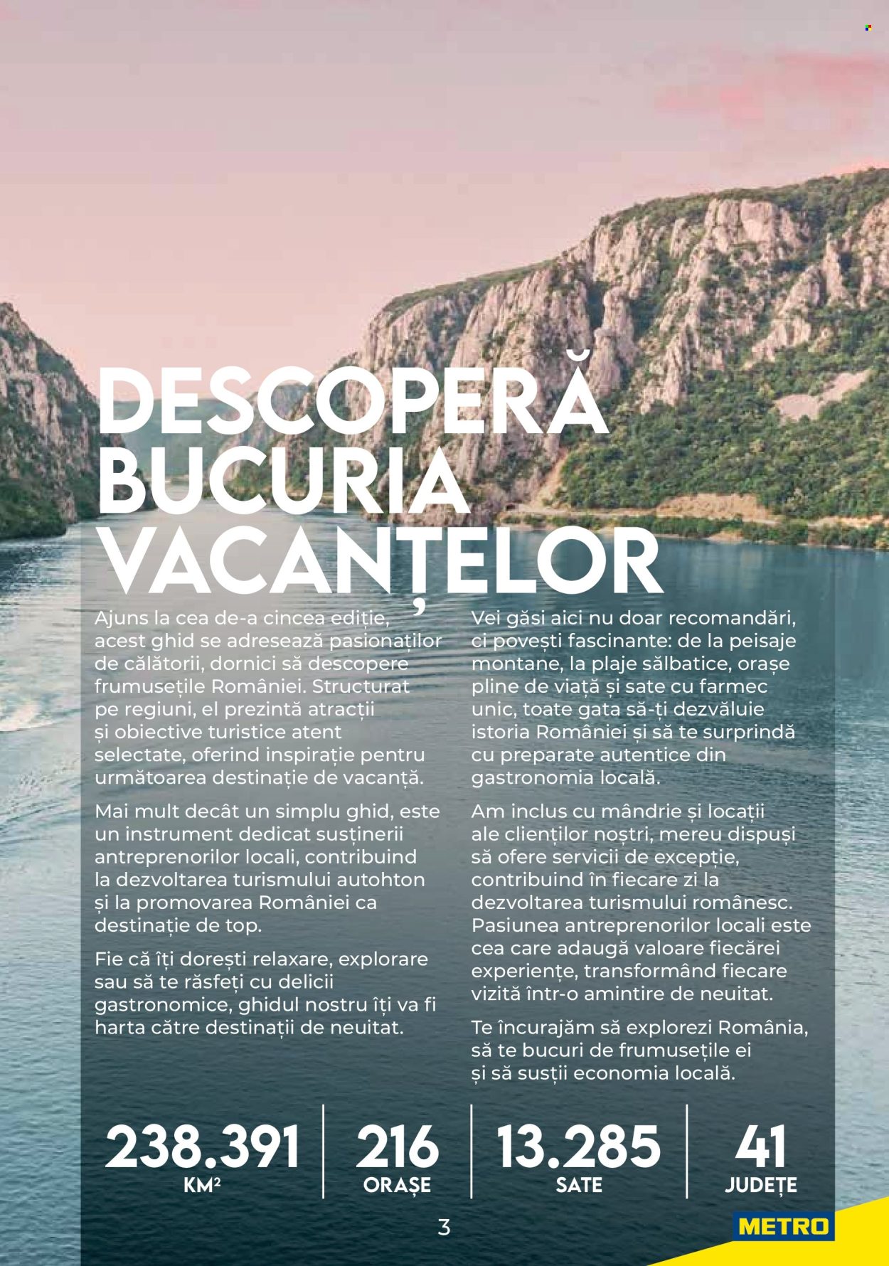 Catalog Metro. Pagina 3