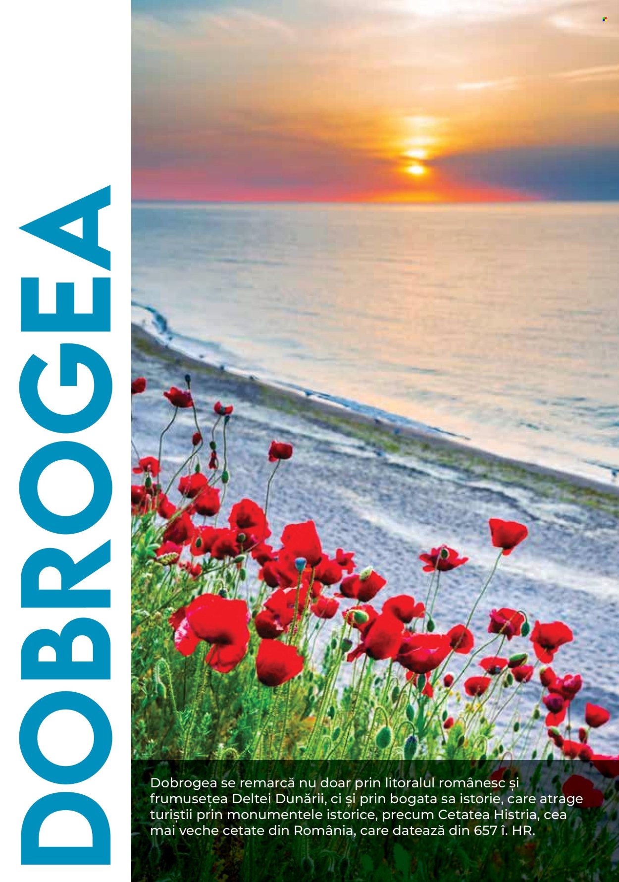 Catalog Metro. Pagina 54