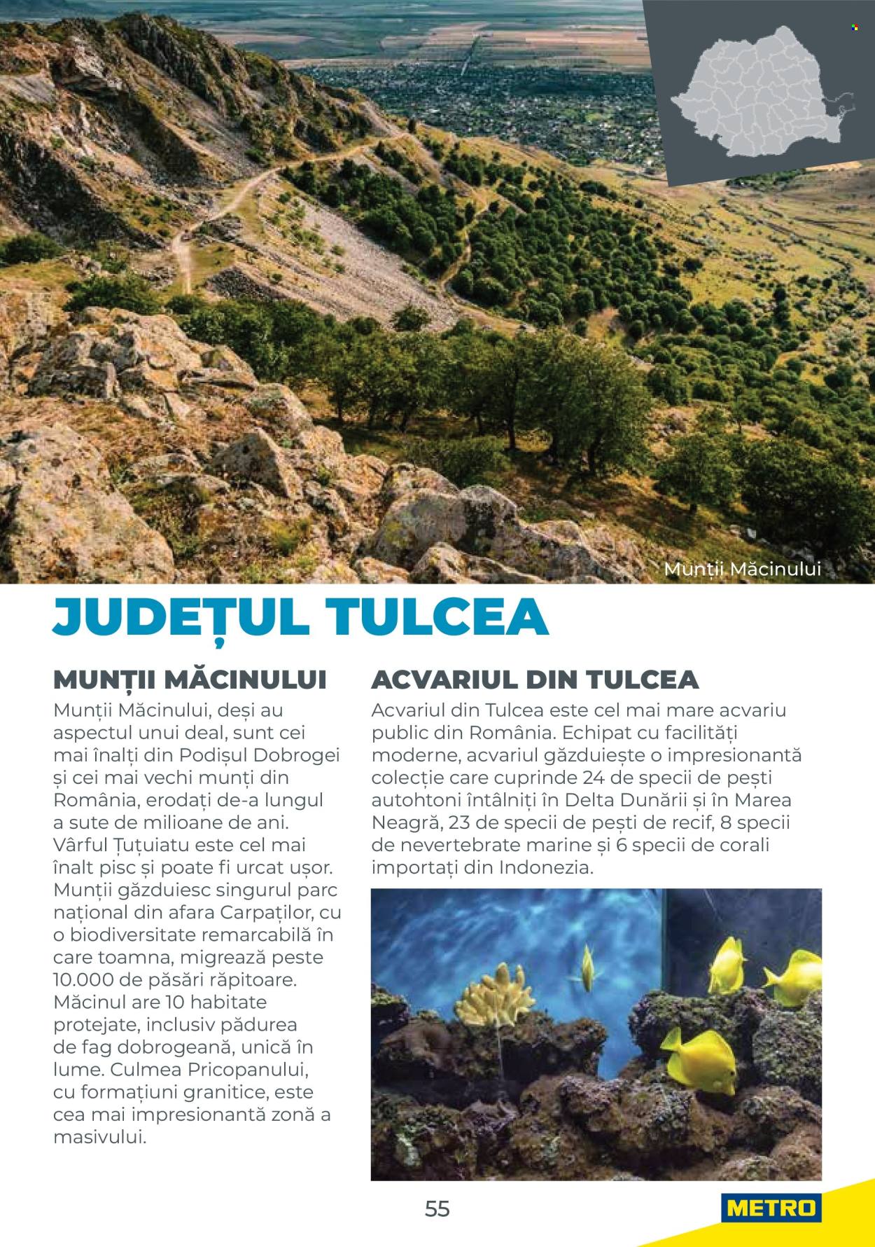 Catalog Metro. Pagina 55