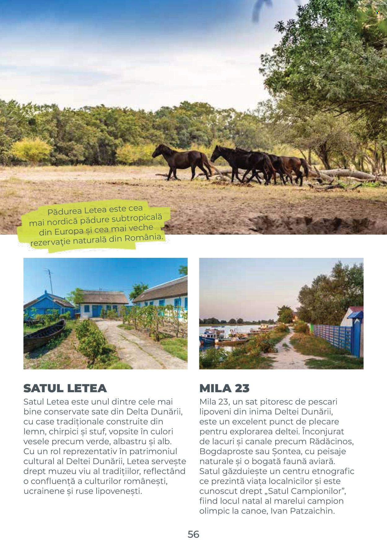 Catalog Metro. Pagina 56