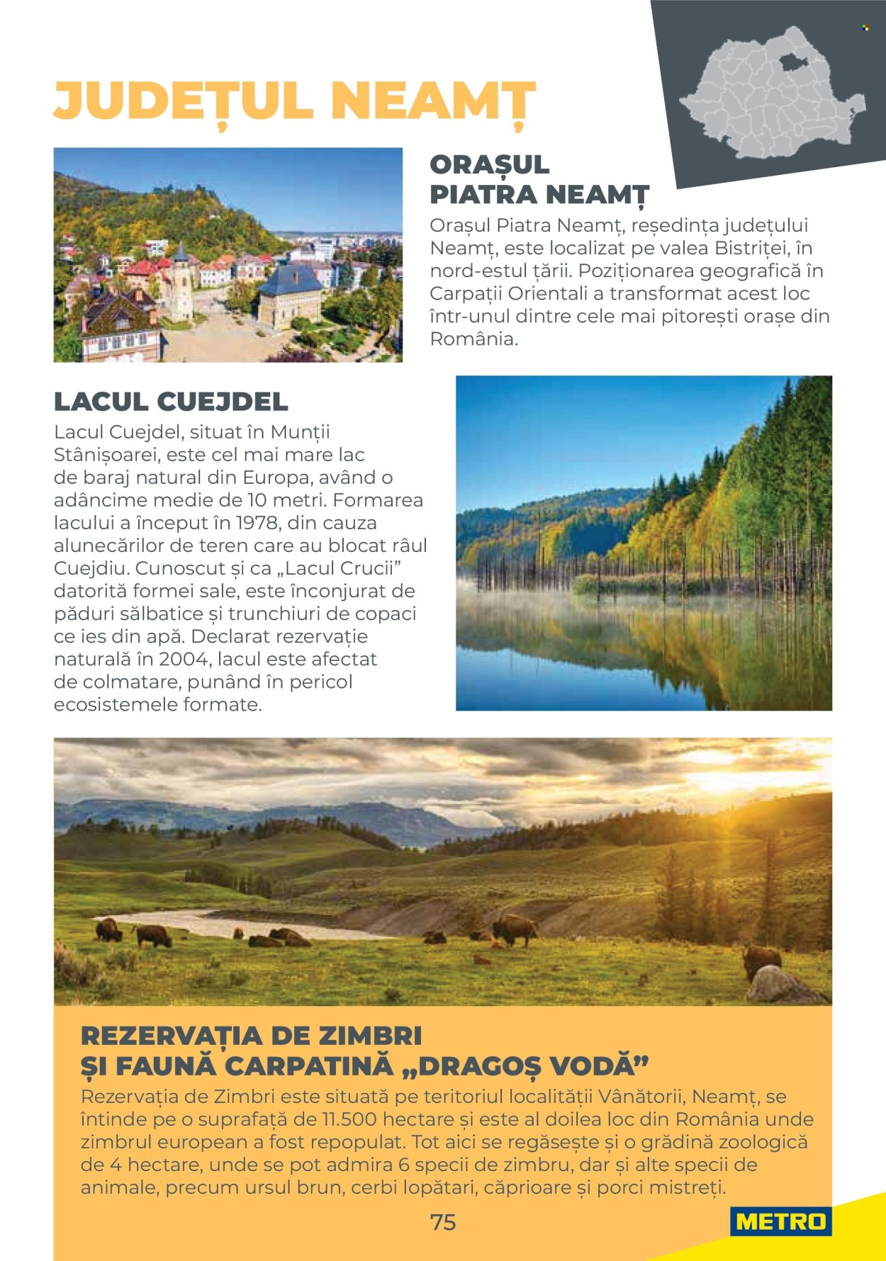 Catalog Metro. Pagina 75