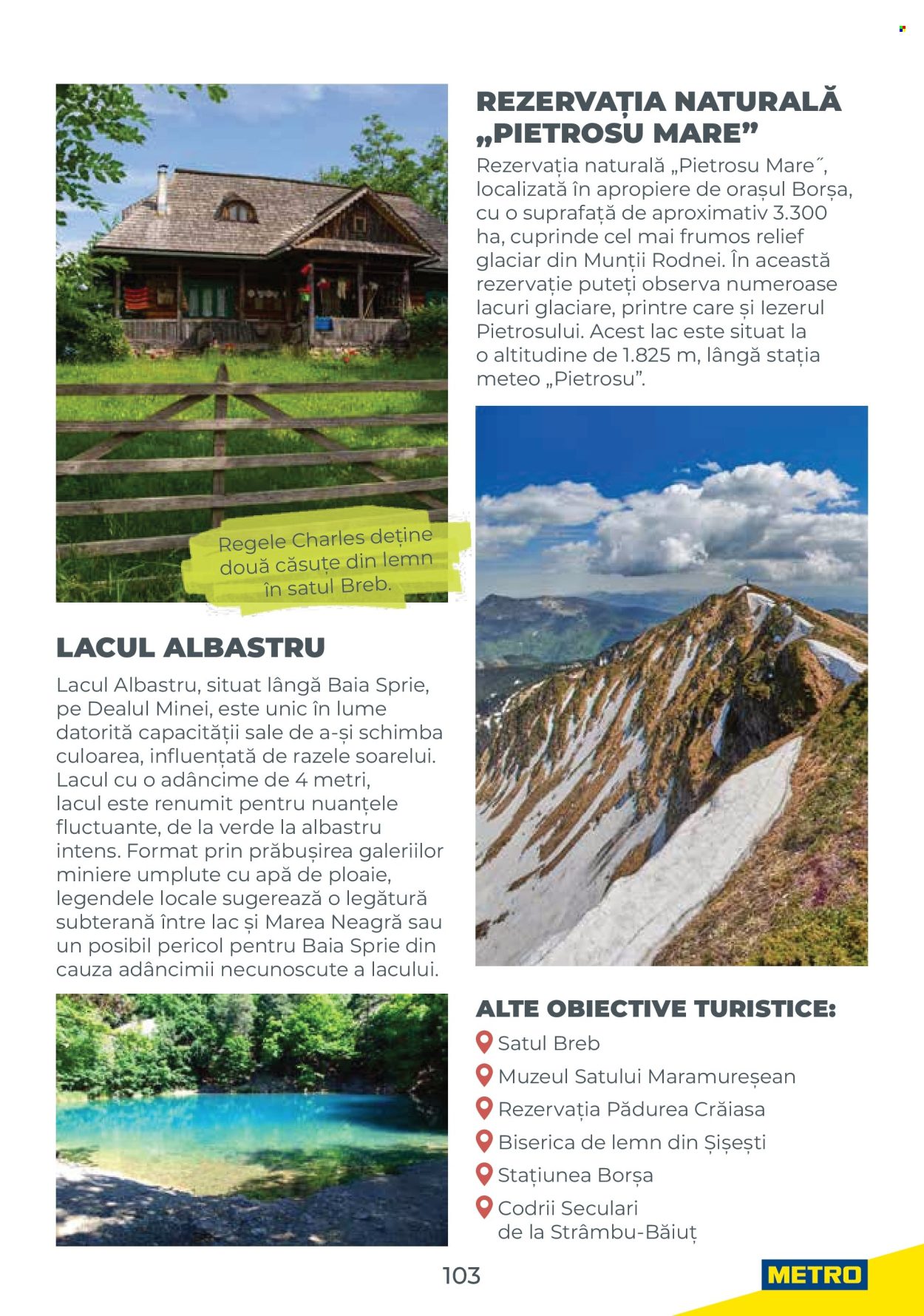 Catalog Metro. Pagina 103