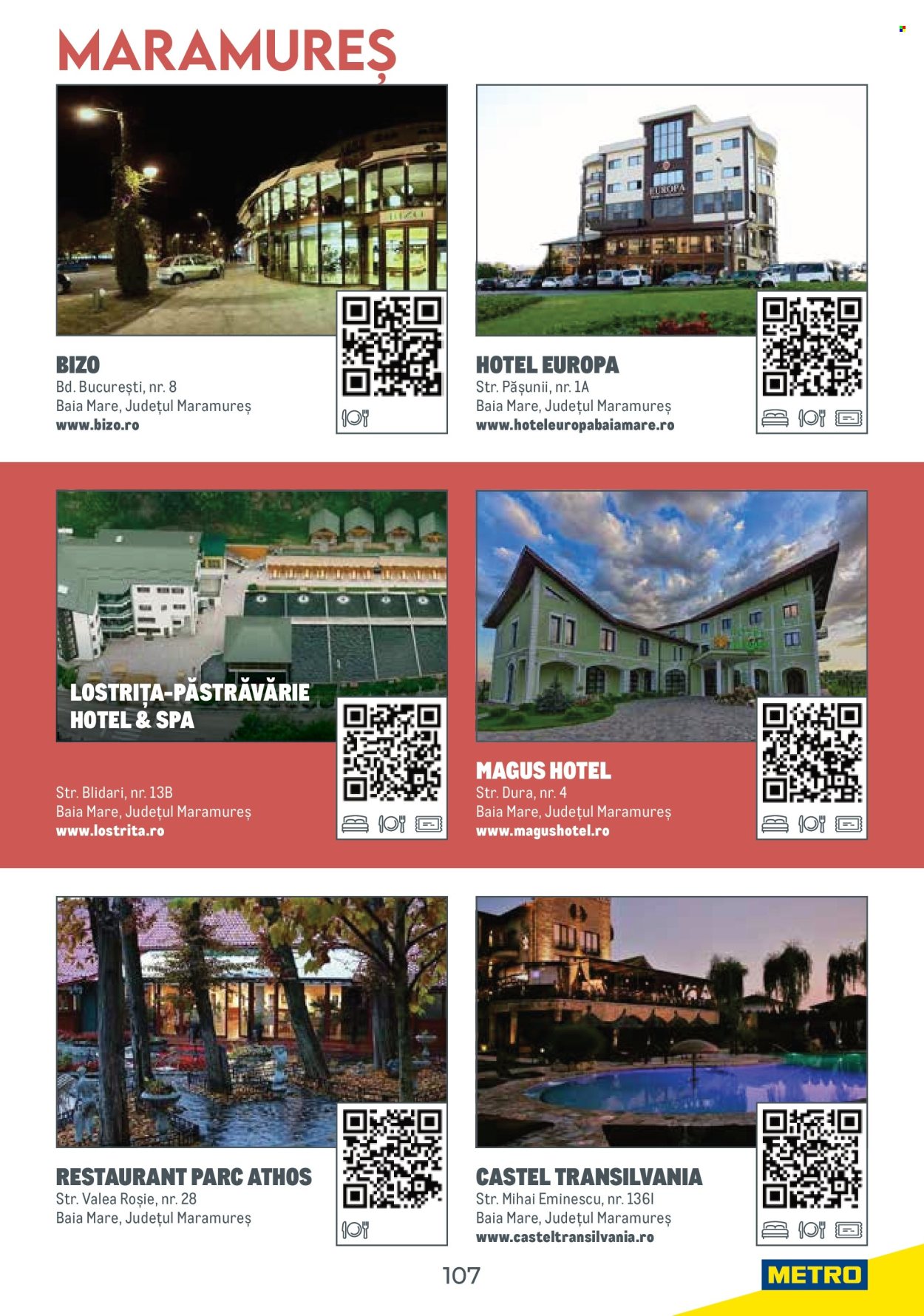 Catalog Metro. Pagina 107