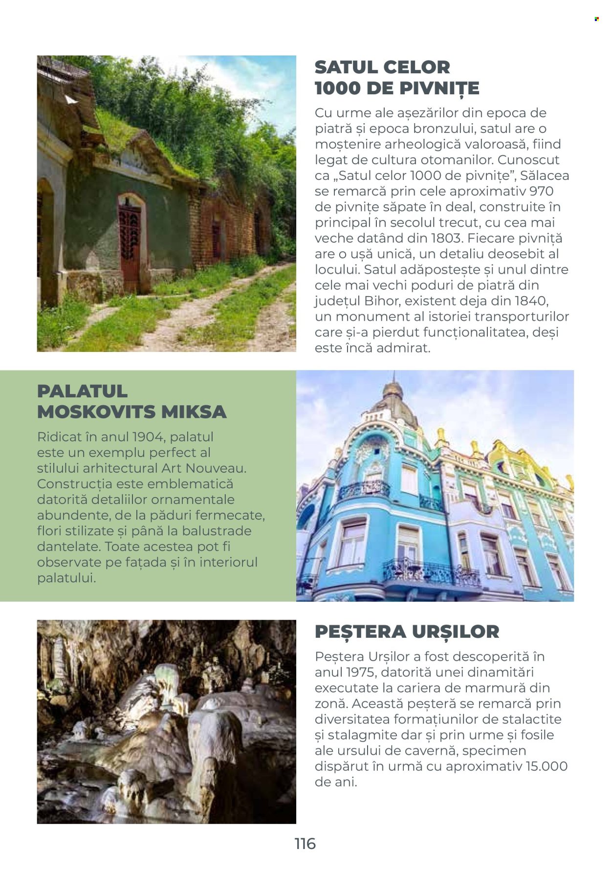 Catalog Metro. Pagina 116