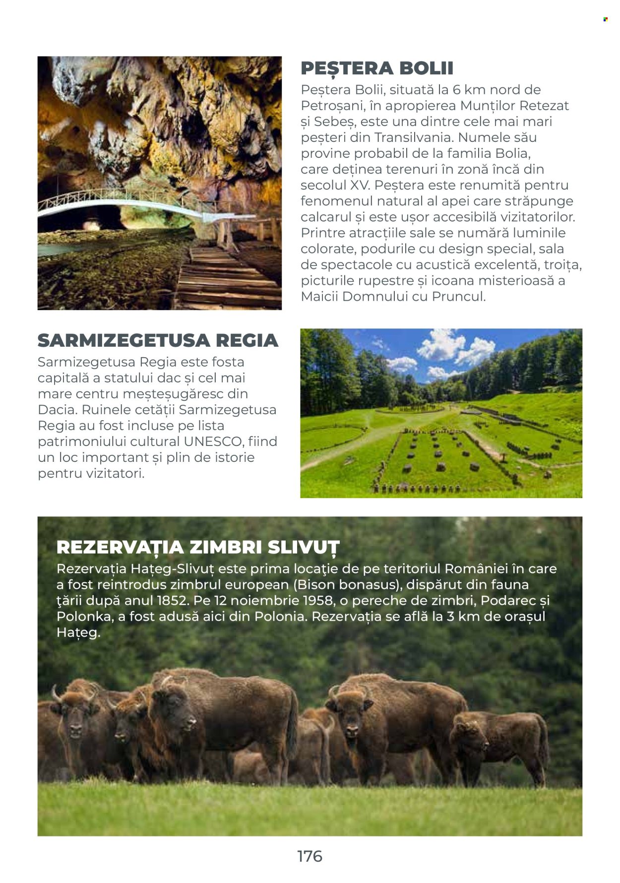Catalog Metro. Pagina 176
