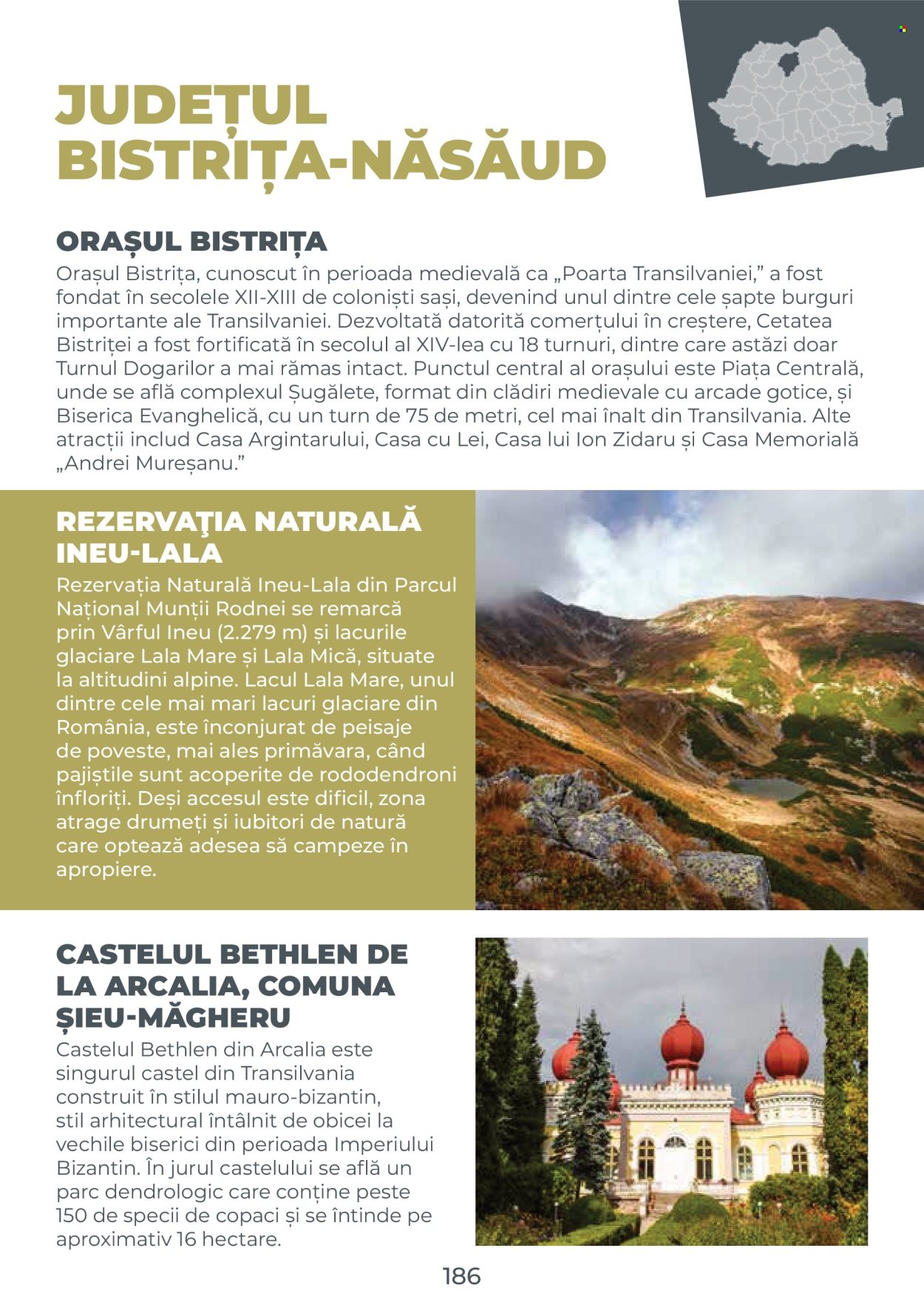 Catalog Metro. Pagina 186