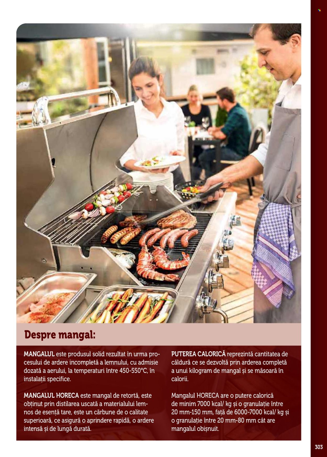 Catalog Metro - 17.09.2025 - 31.12.2026. Pagina 303