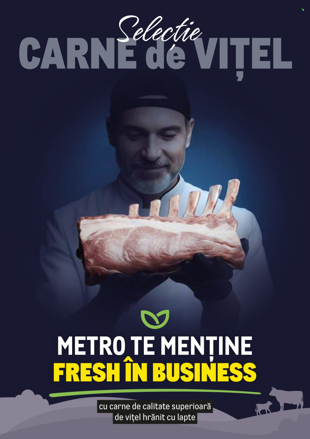 Catalog Metro - 23.02.2026 - 31.12.2026. Pagina 1