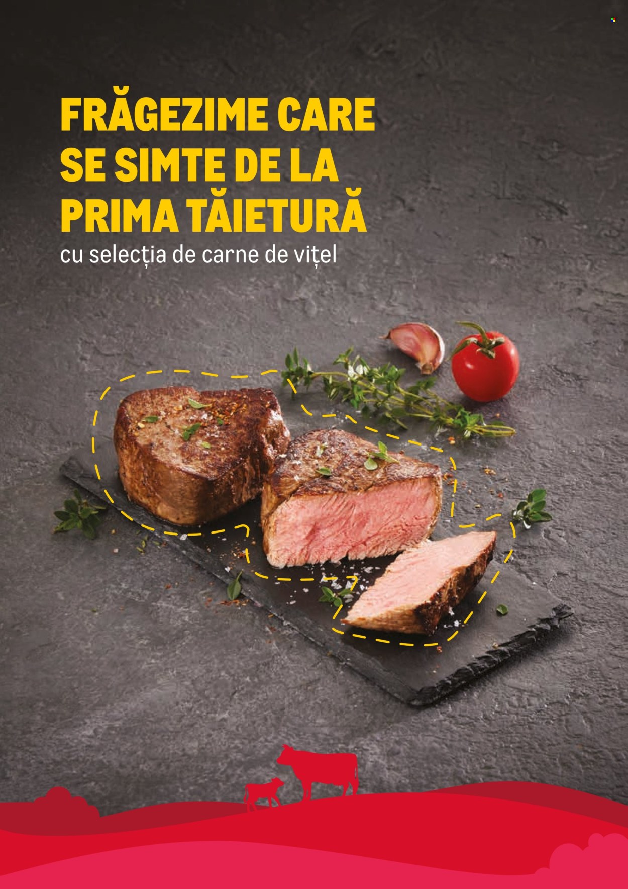 Catalog Metro - 23.02.2026 - 31.12.2026. Pagina 10