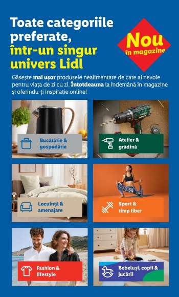 Cataloage Lidl.