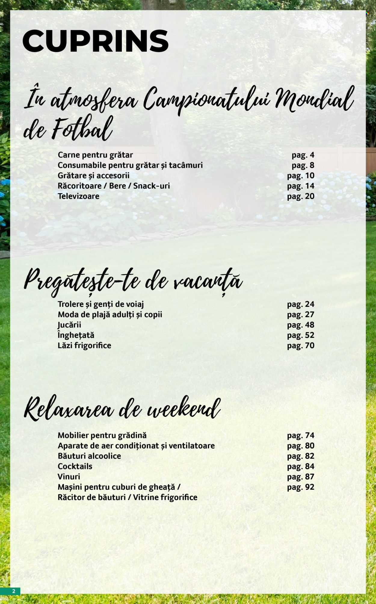 Catalog Selgros - 29.05.2026 - 25.06.2026. Pagina 2