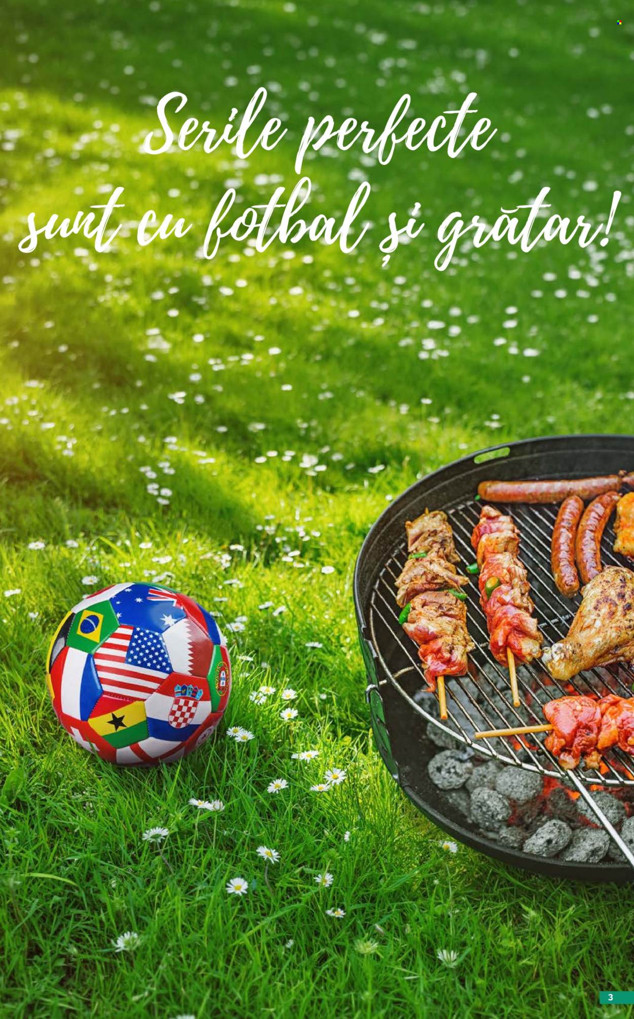 Catalog Selgros - 29.05.2026 - 25.06.2026. Pagina 3