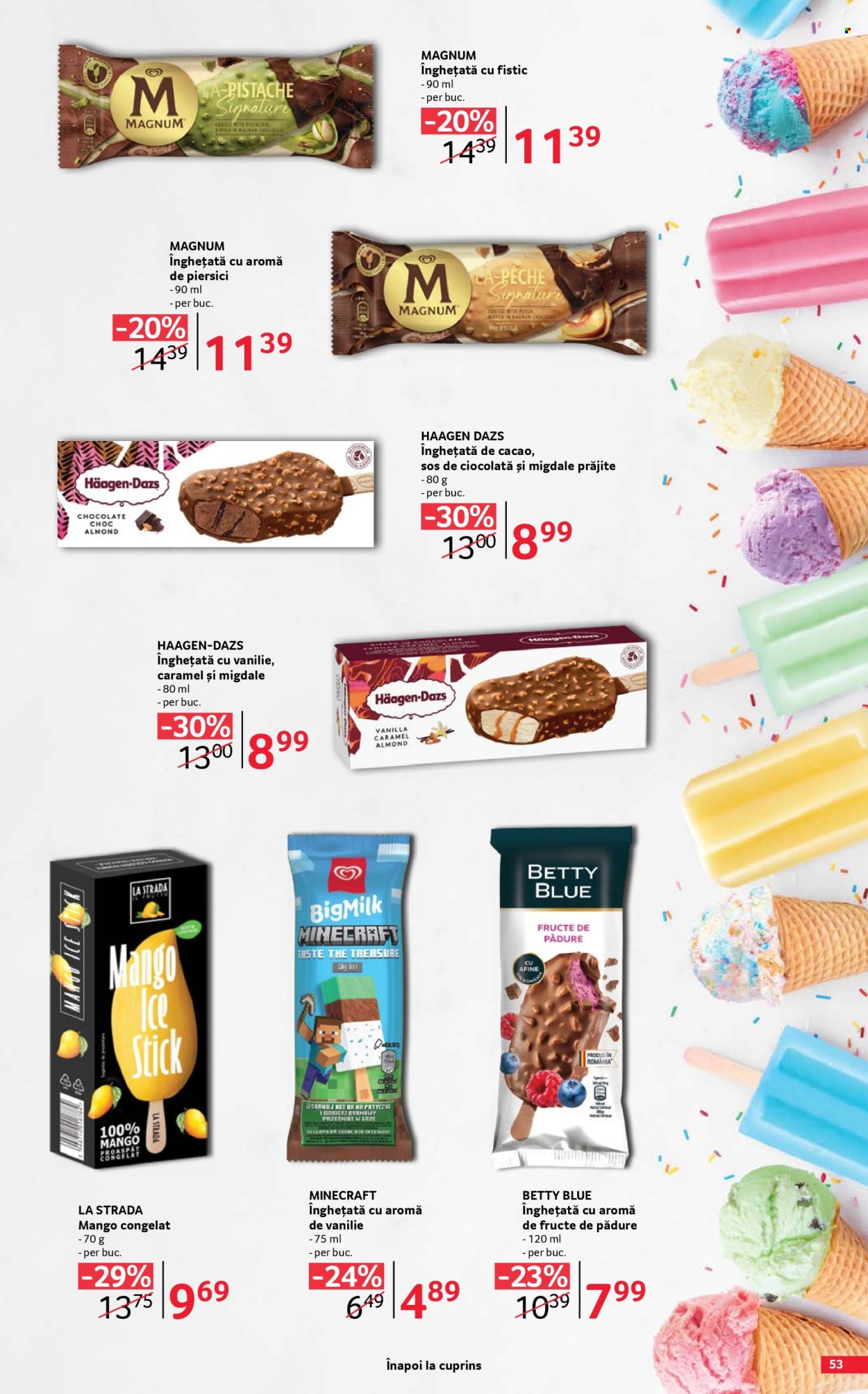 Catalog Selgros - 29.05.2026 - 25.06.2026. Pagina 53