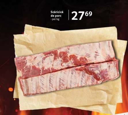 Scăricică de porc