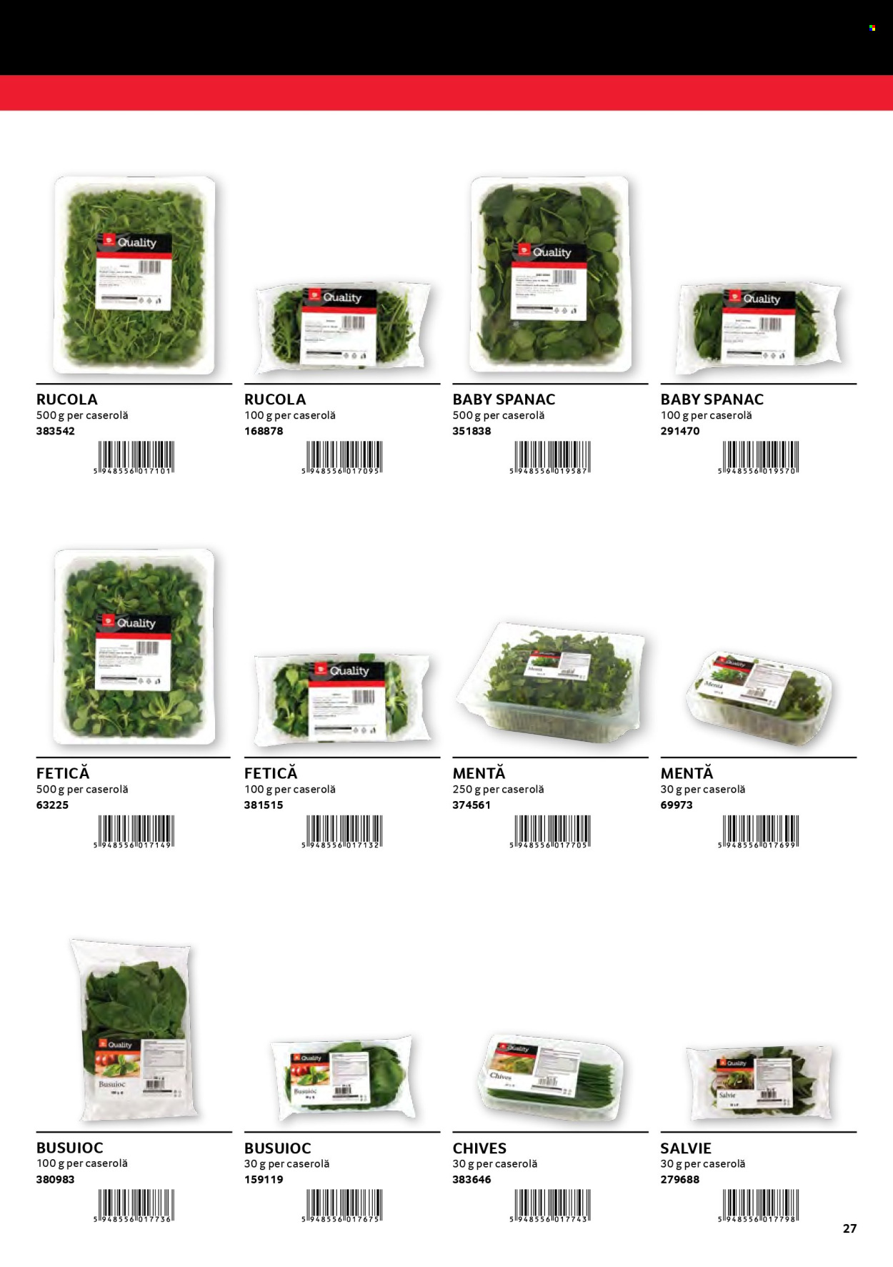 Catalog Selgros. Pagina 27