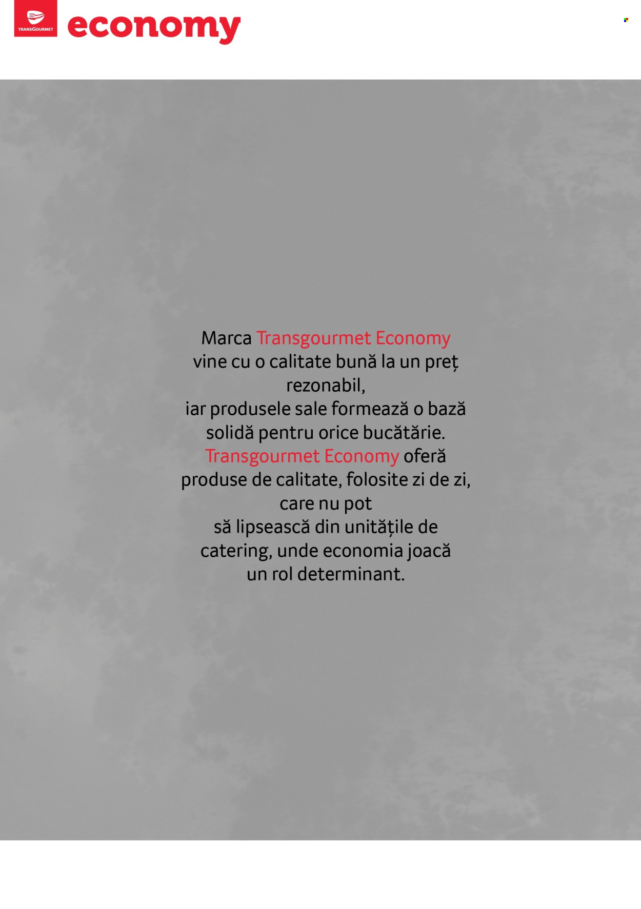 Catalog Selgros. Pagina 36