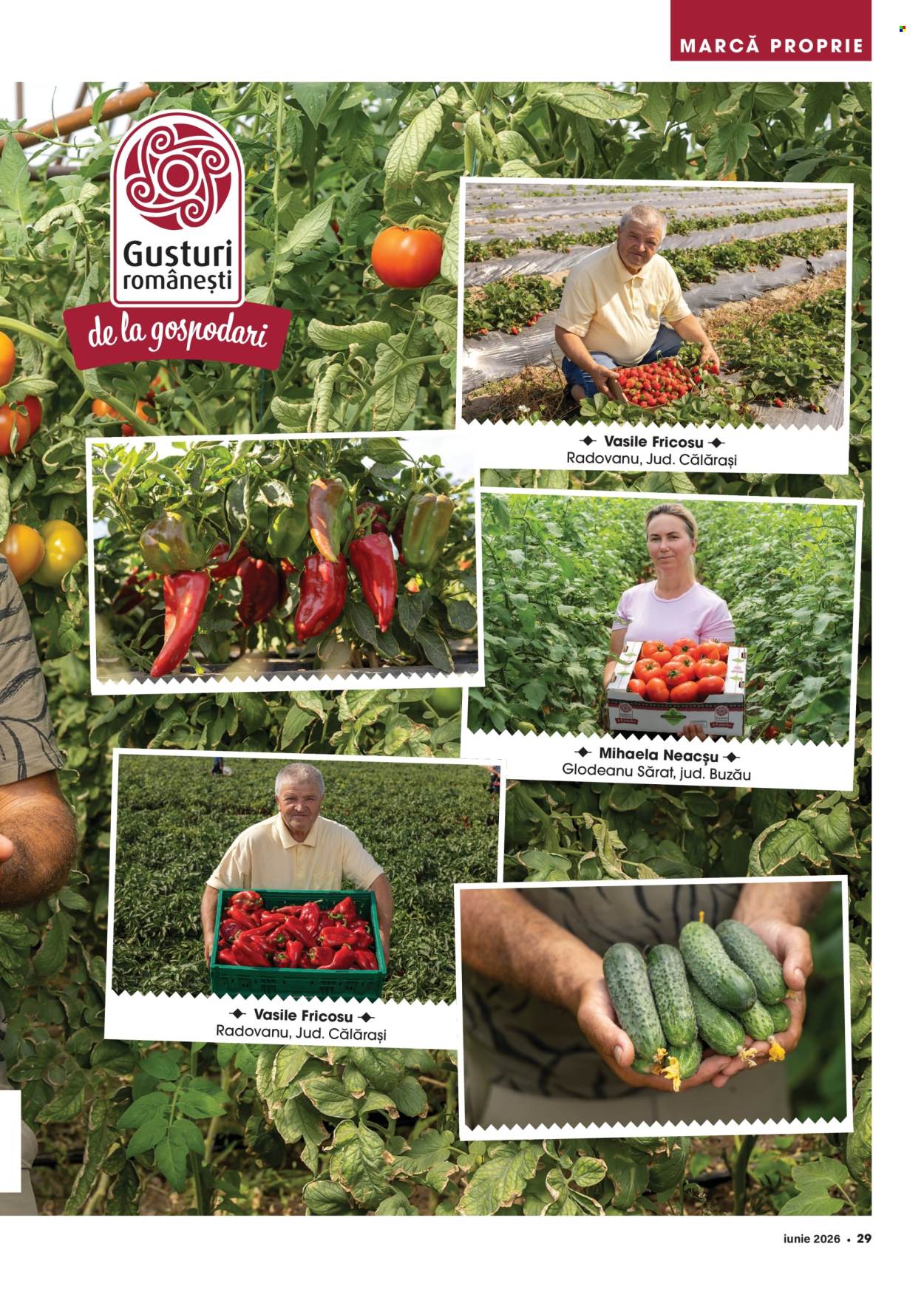 Catalog Mega Image - 01.06.2026 - 30.06.2026. Pagina 29