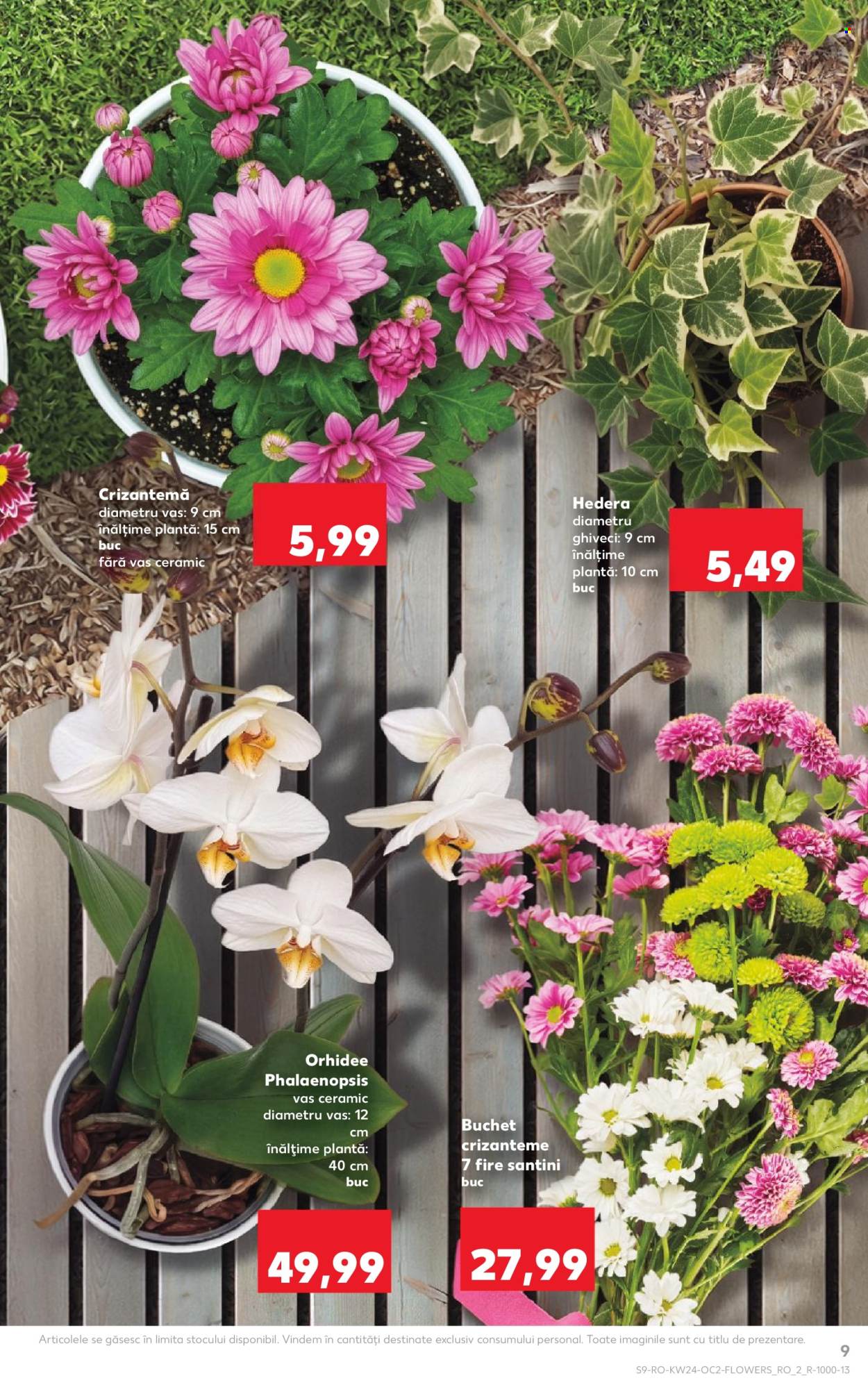 Catalog Kaufland - 10.06.2026 - 16.06.2026. Pagina 9