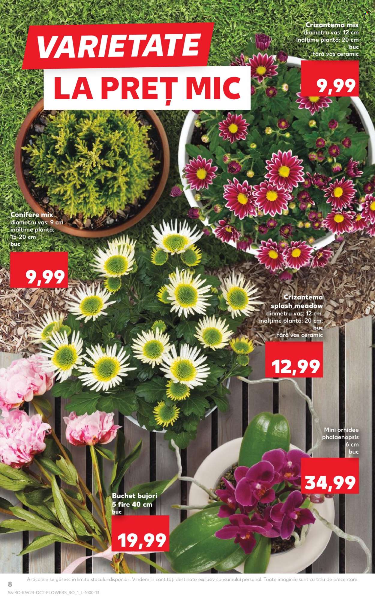 Catalog Kaufland - 10.06.2026 - 16.06.2026. Pagina 8