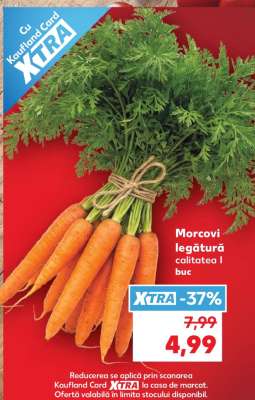 Morcovi Legătură