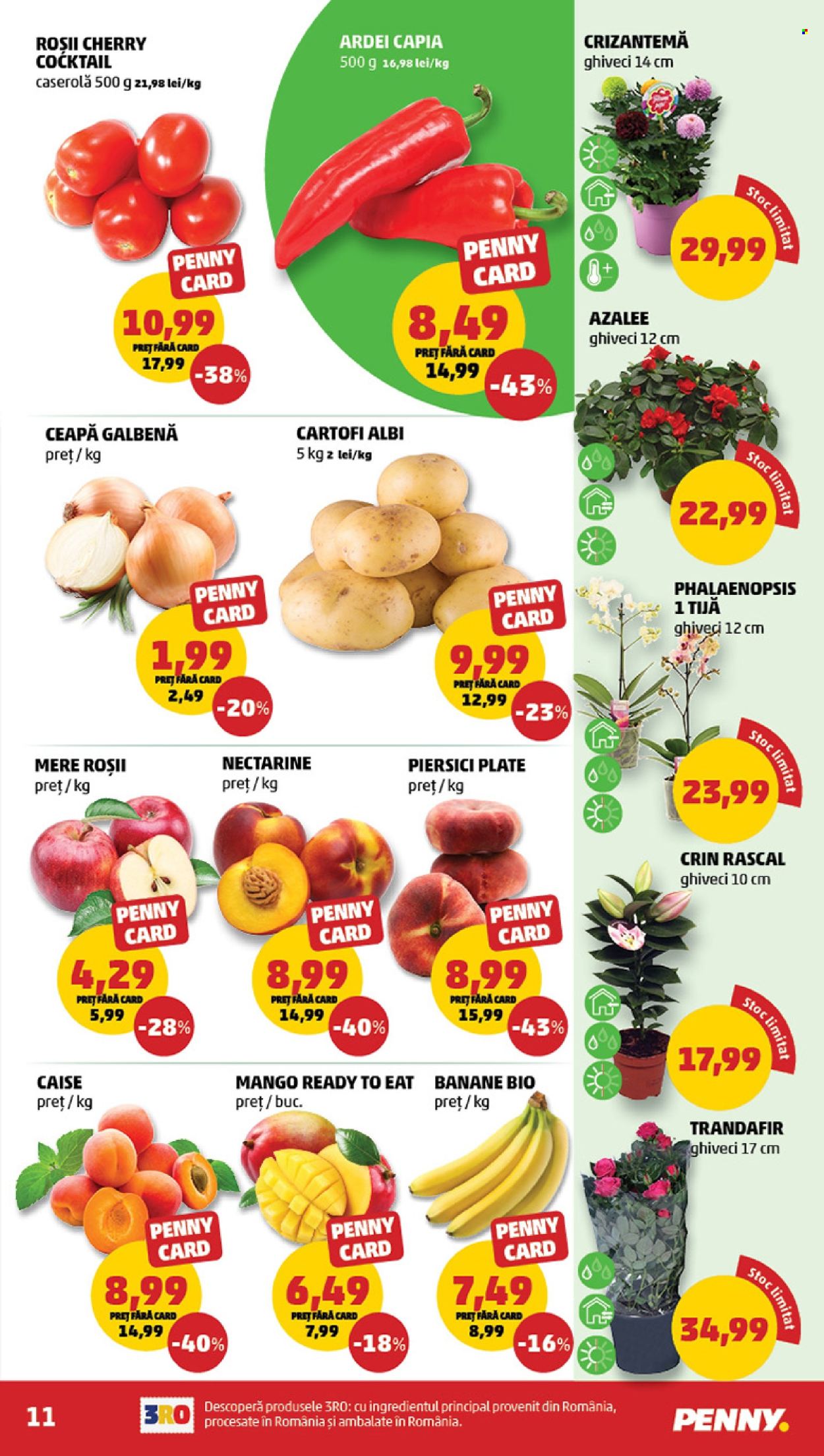Catalog PENNY - 10.06.2026 - 16.06.2026. Pagina 11