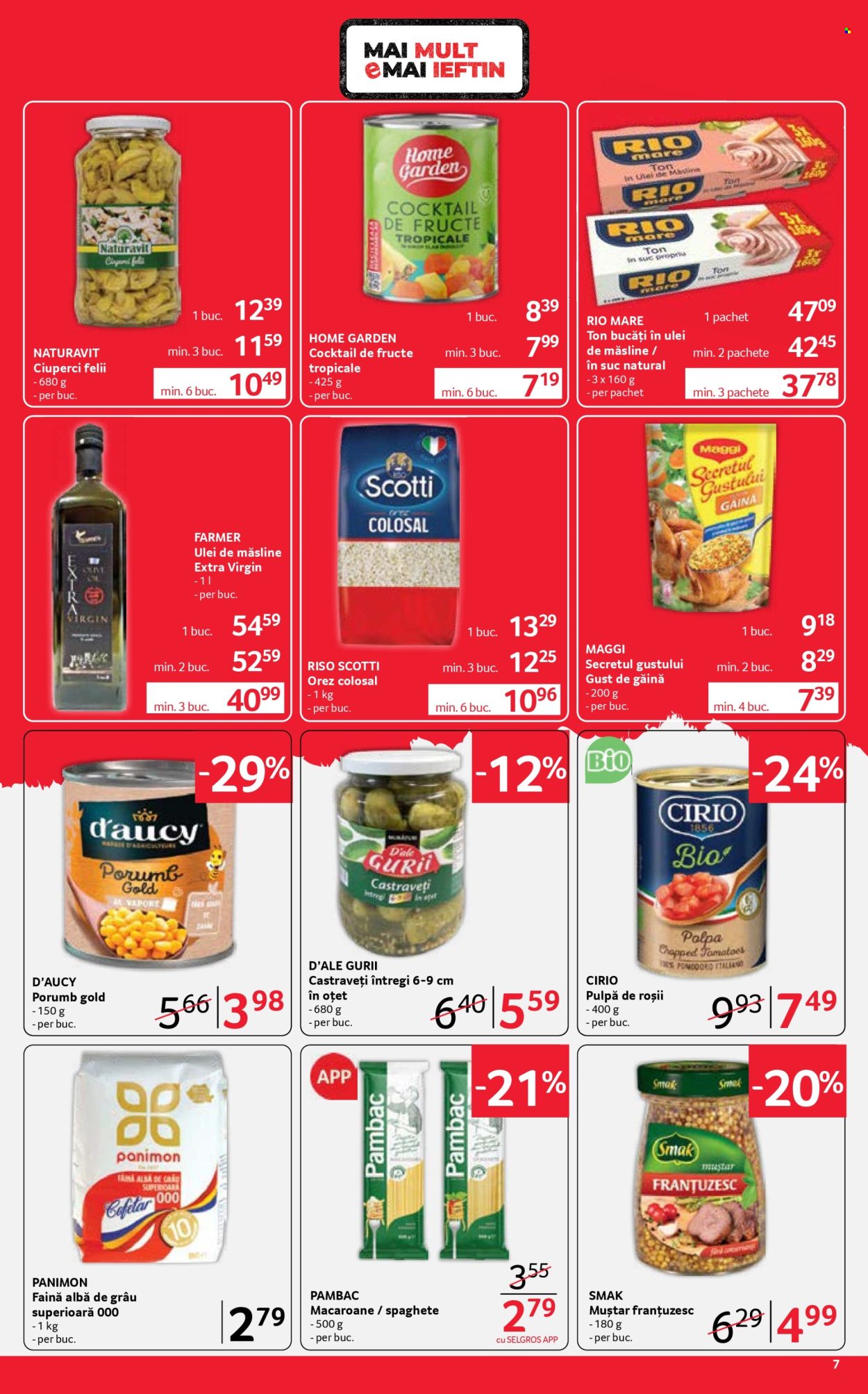 Catalog Selgros - 12.06.2026 - 25.06.2026. Pagina 7