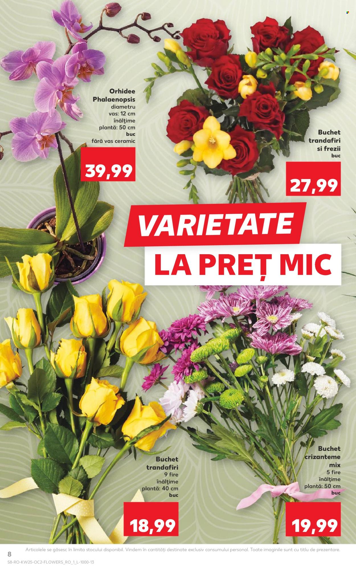 Catalog Kaufland - 17.06.2026 - 23.06.2026. Pagina 8