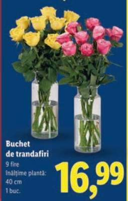 Buchet de trandafiri
