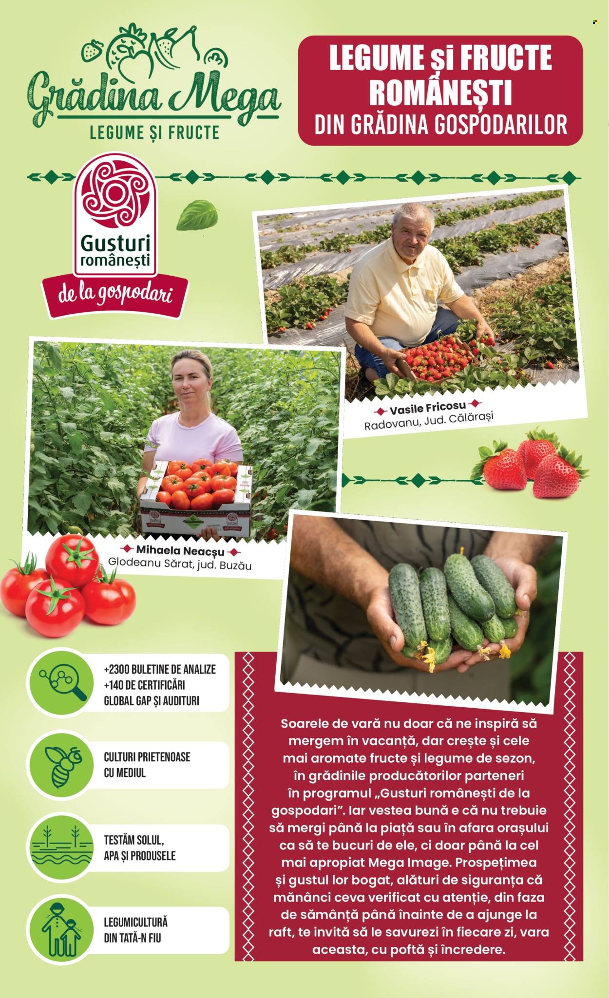 Catalog Mega Image - 18.06.2026 - 24.06.2026. Pagina 10