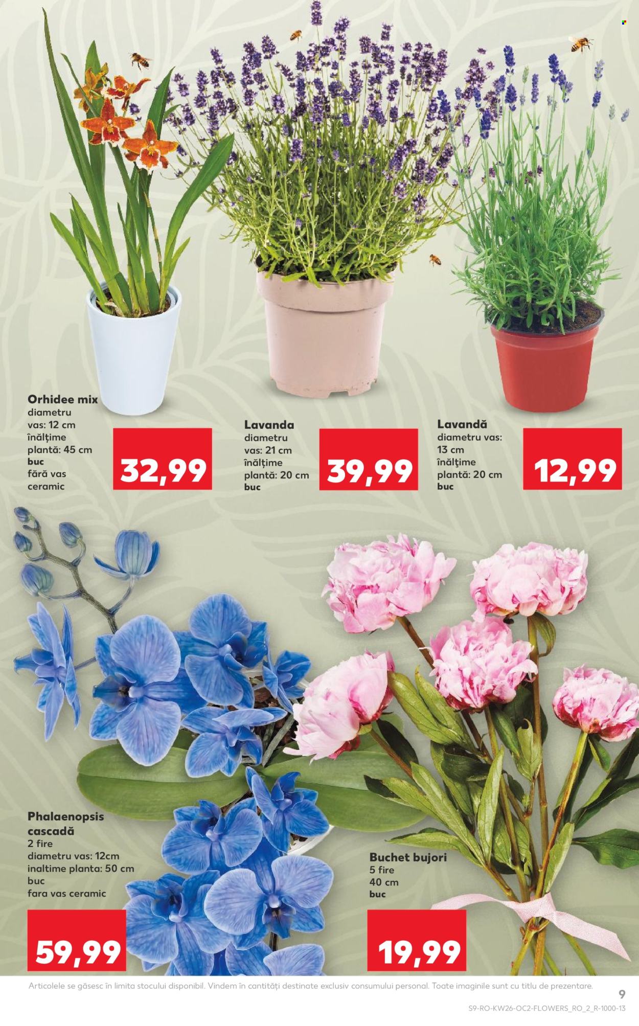 Catalog Kaufland - 24.06.2026 - 30.06.2026. Pagina 9