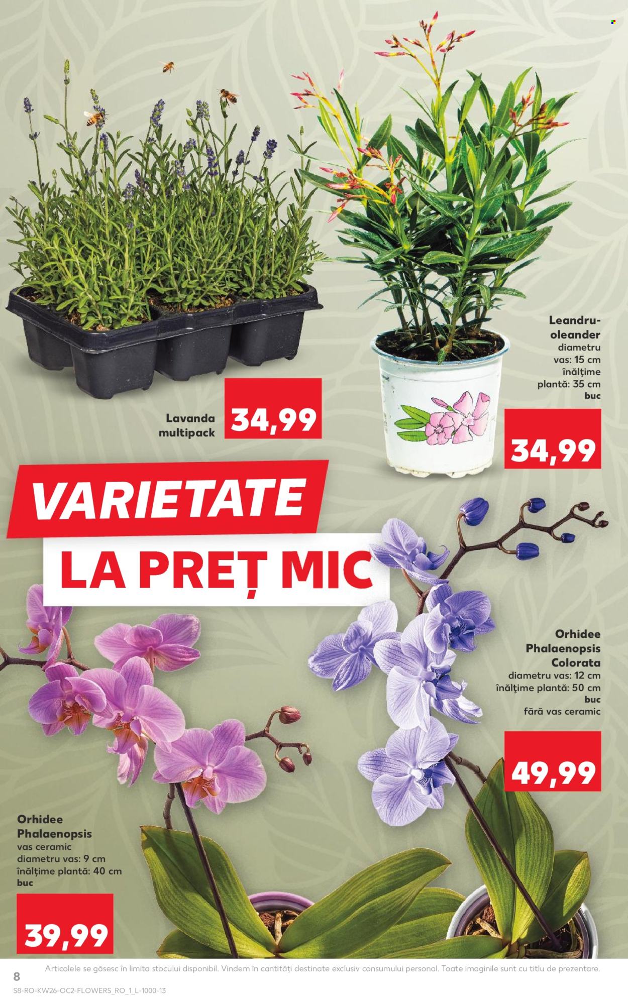 Catalog Kaufland - 24.06.2026 - 30.06.2026. Pagina 8