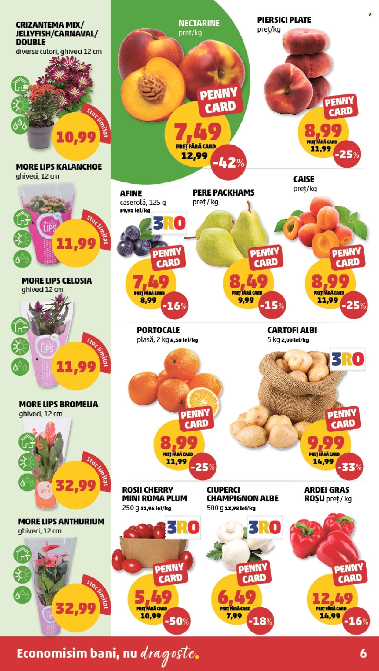 Catalog PENNY - 24.06.2026 - 30.06.2026. Pagina 6