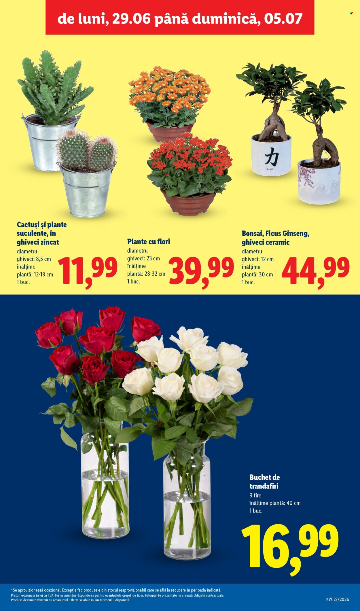 Catalog Lidl - 29.06.2026 - 05.07.2026. Pagina 55