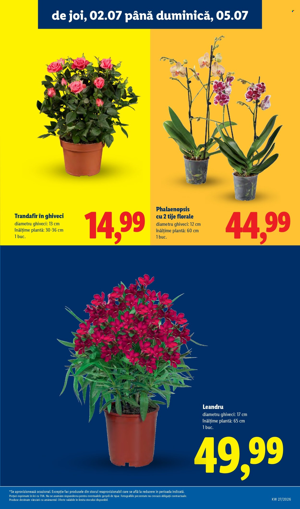 Catalog Lidl - 29.06.2026 - 05.07.2026. Pagina 57