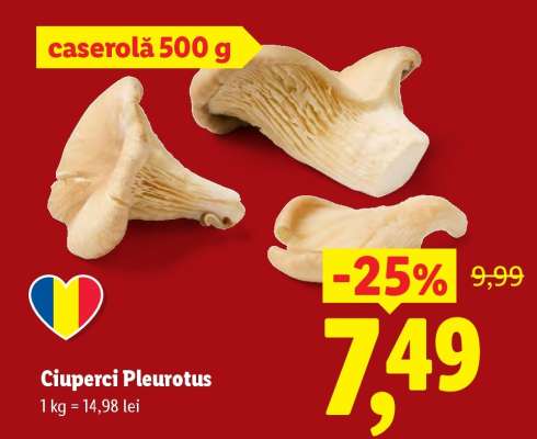 Ciuperci Pleurotus