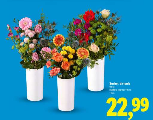 Buchet de iunie