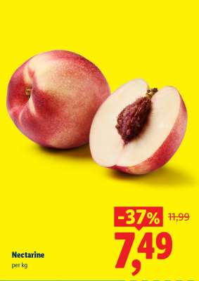 Nectarine