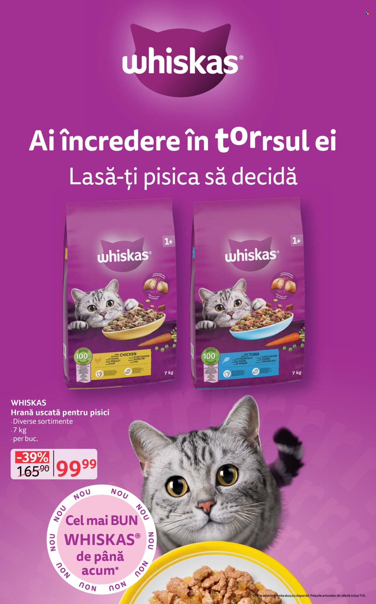 Catalog Selgros - 26.06.2026 - 09.07.2026. Pagina 24
