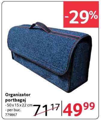 Organizator portbagaj
