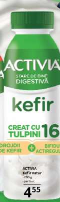 ACTIVIA Kefir natur