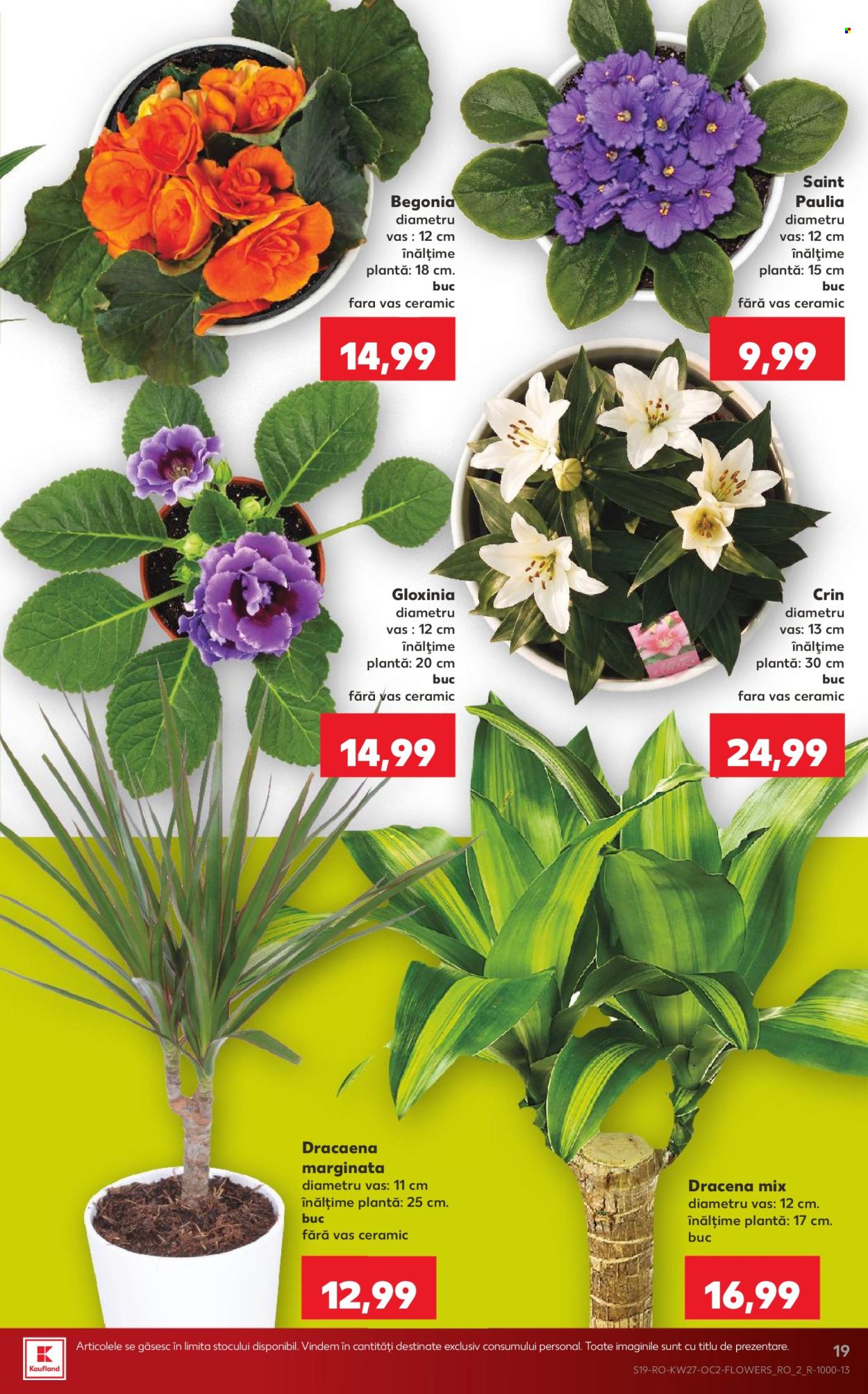 Catalog Kaufland - 01.07.2026 - 07.07.2026. Pagina 19