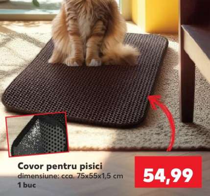 Covor pentru pisici